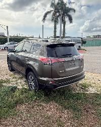 RAV4-Bronze 2018-9.jpg