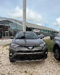 RAV4-Bronze 2018-11.jpg