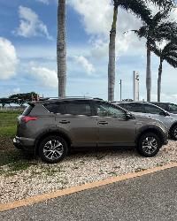 RAV4-Bronze 2018-12.jpg